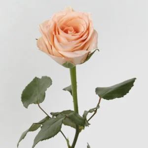 01 11