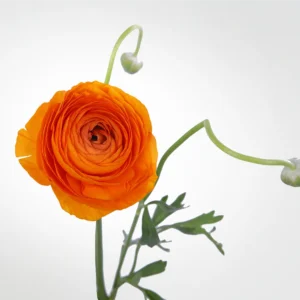 01 14