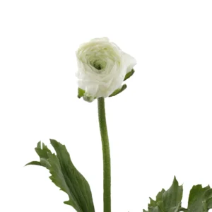 01 18