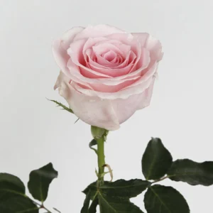 01 2