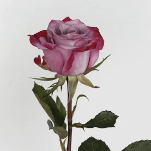 01 4